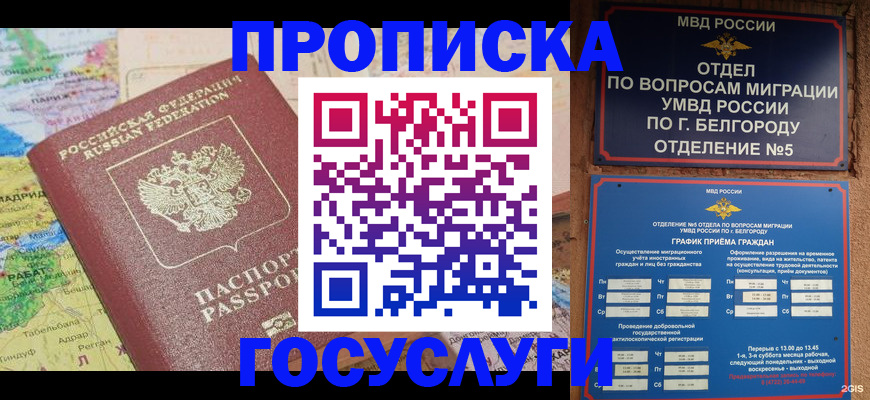 прописка регистрация в Ульяновской области